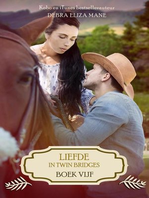 cover image of boek vijf: Liefde in Twin Bridges, #5